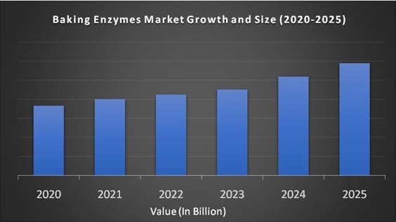 Baking Enzymes Market